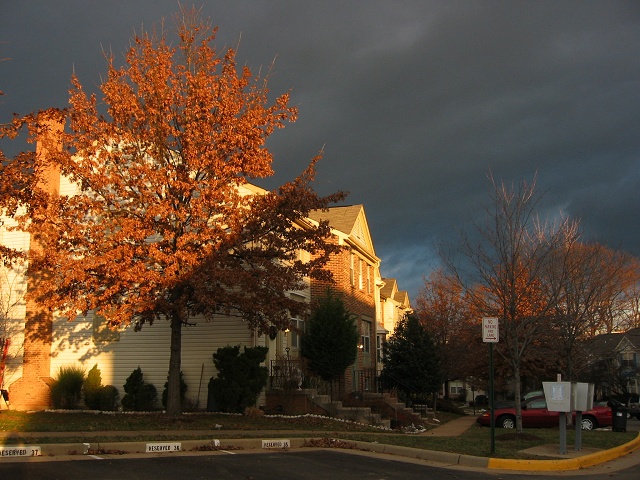 Morning light, Fairfax, Virginia
