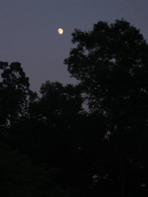 Nighttime, Green Ridge State Park, Maryland