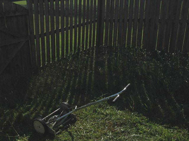 Backyard in Foxfield Commuinty, Farifax, Virginia