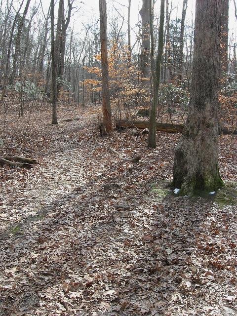 Winter afternoon, Carderock, Maryland