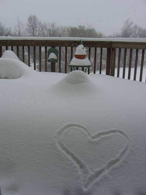 Blizzard 2003, Fairfax, Virginia