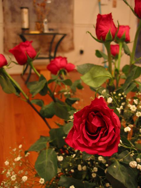 Valentine's Day roses