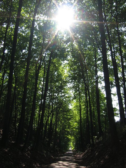 Along the WO&D bike trail, about mile marker 40
