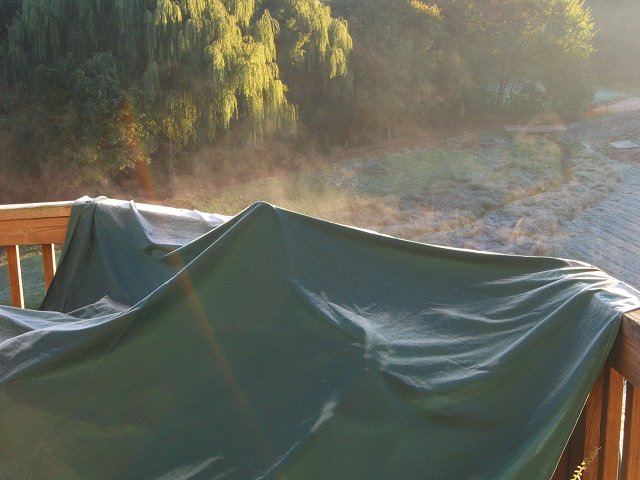 Frosty fall morning, Fairfax, Virginia