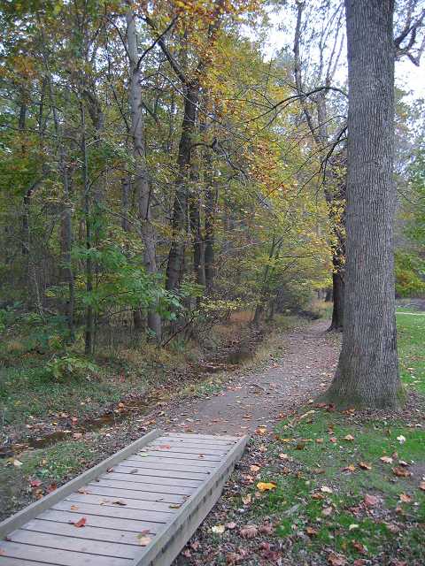 Path towards lower parking lot, Great Falls National Park, Virginia