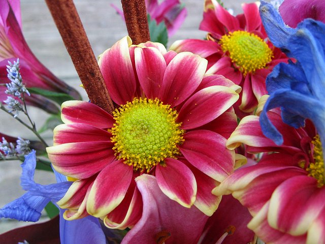 Flowers