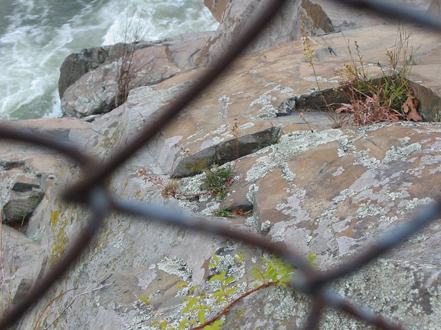 Rocks and lichen through chain link fence, Great Falls National Park, Virginia