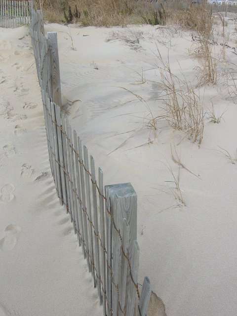 Sand Dunes, Ocean City, Maryland