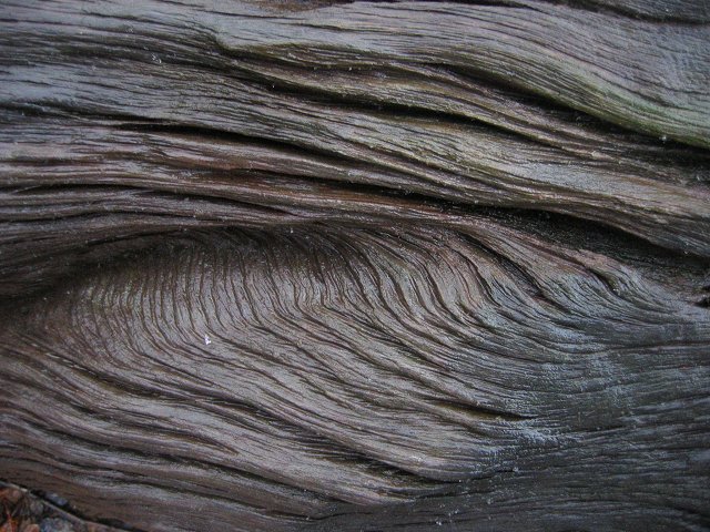 Wet wood, Deep Creek Lake, Maryland