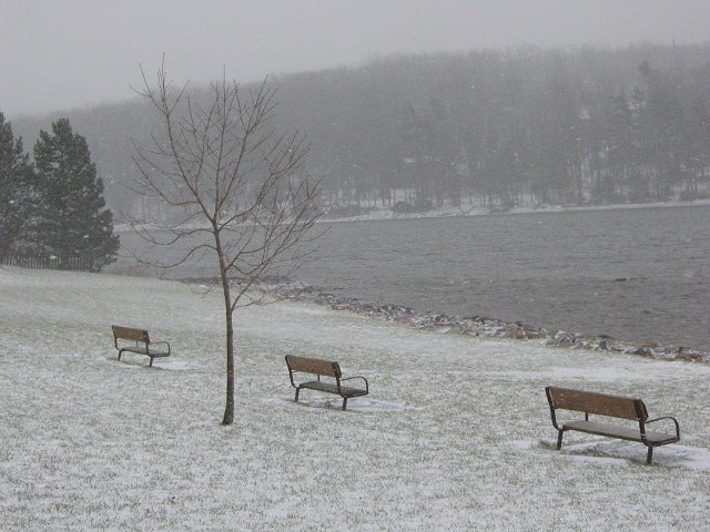 Benches along Deep Creek Lake, Maryland