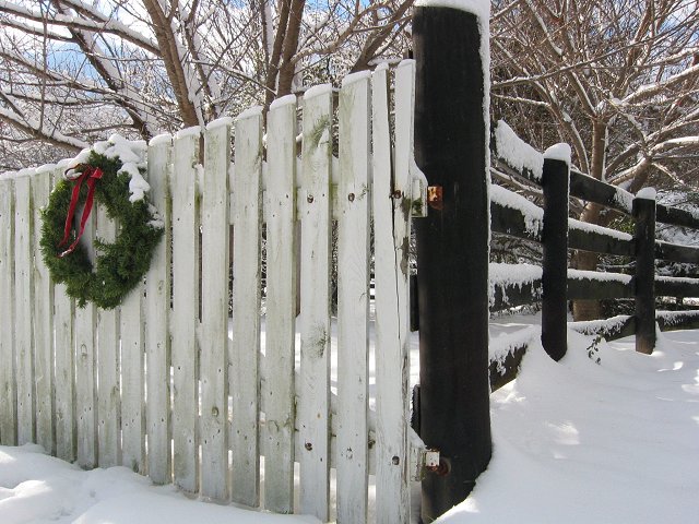 After first snow, Route 600l, Haymarket, Virginia