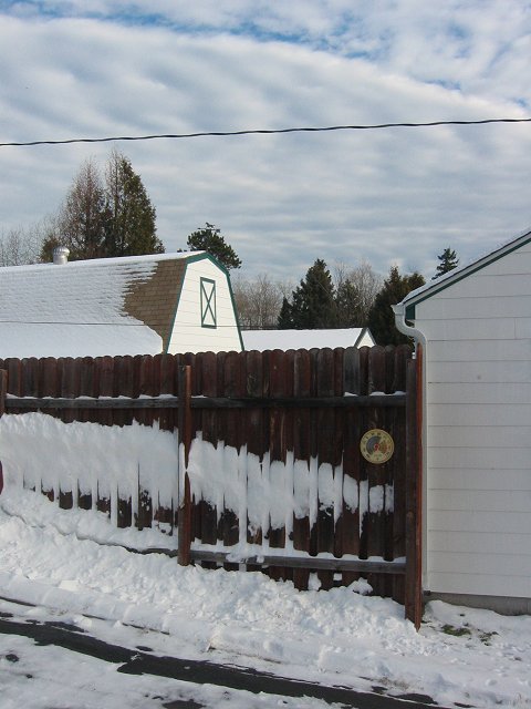 Winter Morning on Cooke Street, Duluth, Minnesota