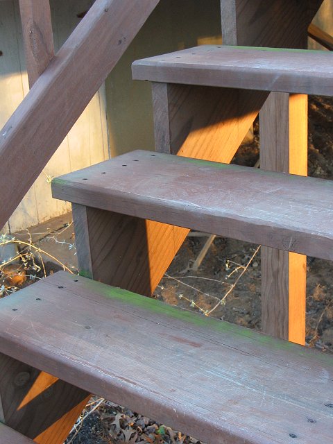 Steps in winter afternoon light, Lanham, Maryland