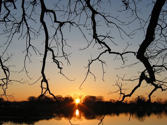 Sunset through branches, Quiet Waters Park, Annapolis, Maryland