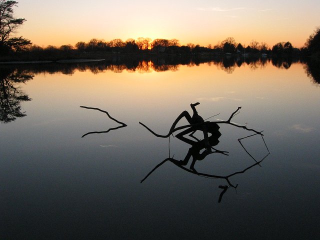 Sunset, Quiet Waters Park, Annapolis, Maryland