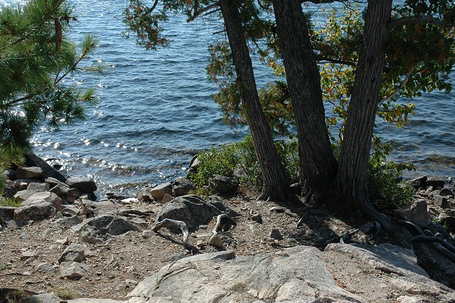 Island on Seagull Lake, Boundary Waters Canoe Area Wilderness