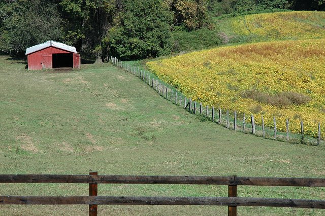 Gwynn Farm, Upper Marlboro, Maryland