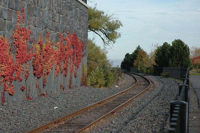 Railroad and ivy along the Canal Walk, Duluth, Minnesota