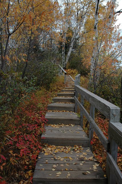 Wooden stair path, Tettegouche State Park, Minnesota