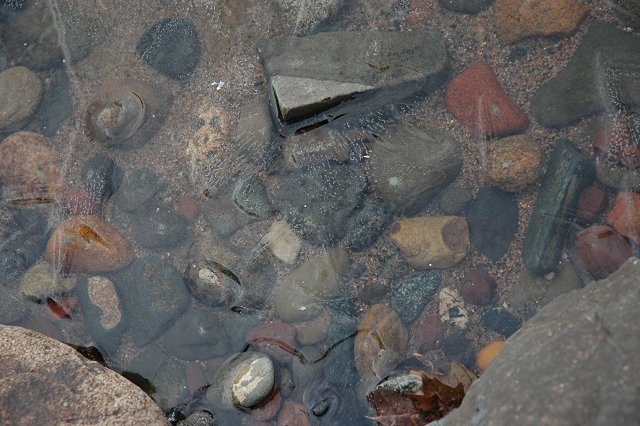 Rocks frozen in Upper South Long Lake, Brainerd, Minnesota