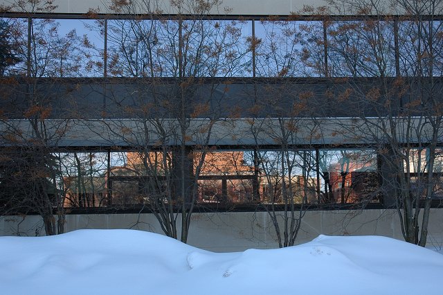 Univrsity of Minnesota, Duluth