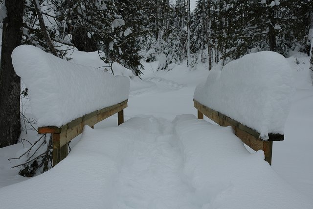 Walking bridge with snow near Poplar Creek Guest House, Gunflint Trail, Minnesota