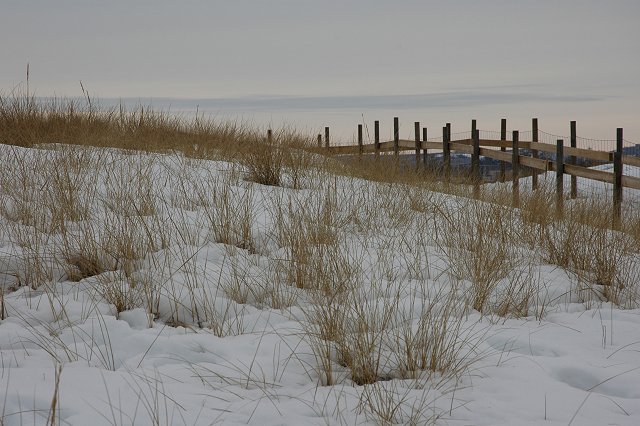 Grasses and walkway at Park Point, Duluth, Minnesota