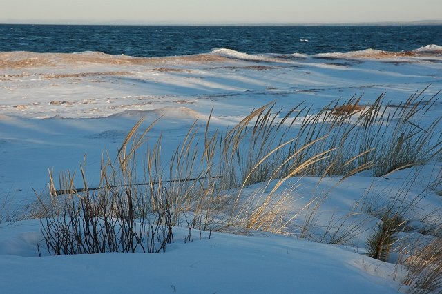 Grasses on the Lake Superior shore, Park Point, Duluth, Minnesota