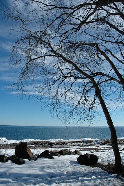 Trees and rocks along Lake Superior, Brighton Beach, Duluth, Minnesota